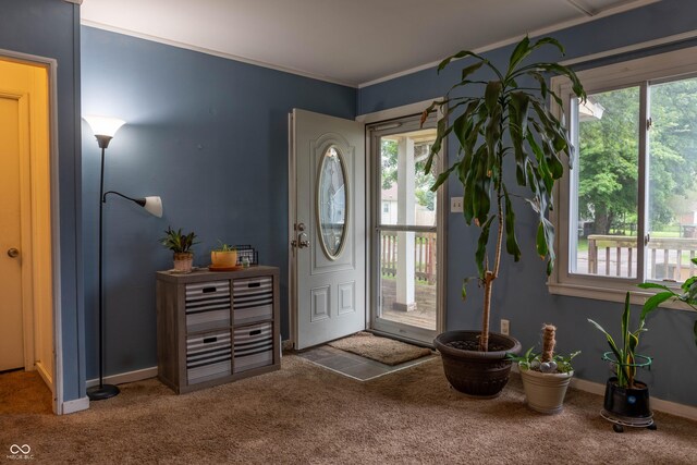 2620 13th St, Columbus, IN 47201 - entryway featuring carpet floors, baseboards, and crown molding