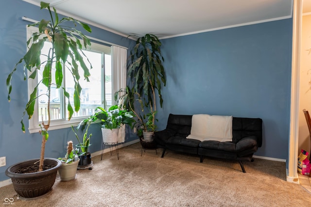 2620 13th St, Columbus, IN 47201 - living area with carpet, crown molding, and baseboards