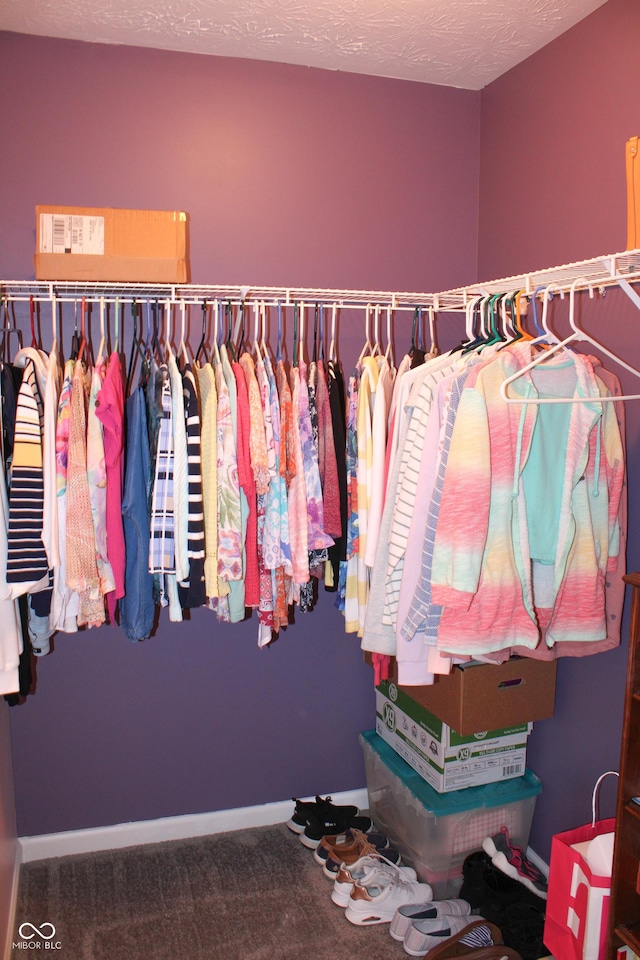 12901 N Collett Way, Camby, IN 46113 - spacious closet with carpet flooring