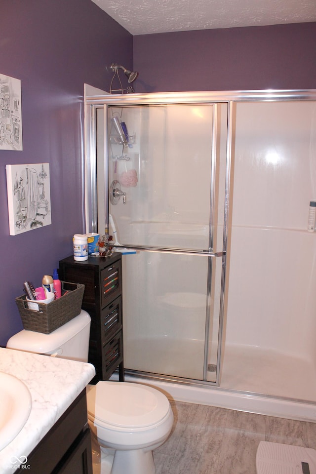 12901 N Collett Way, Camby, IN 46113 - bathroom with vanity, toilet, and a stall shower