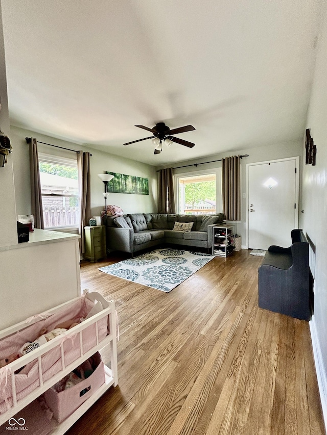 419 N 14th Ave, Beech Grove, IN 46107 - living area featuring ceiling fan, light wood-style floors, and healthy amount of natural light