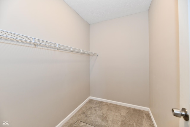 2026 Spruce St, Indianapolis, IN 46203 - walk in closet with carpet