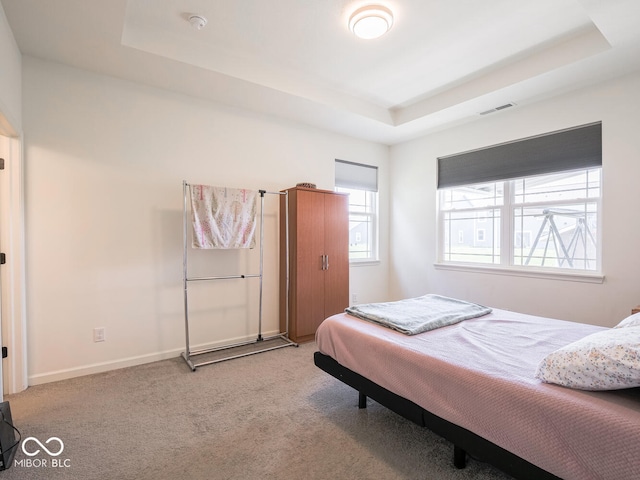 9001 Fitzgerald Dr, Indianapolis, IN 46239 - bedroom featuring a tray ceiling and carpet floors