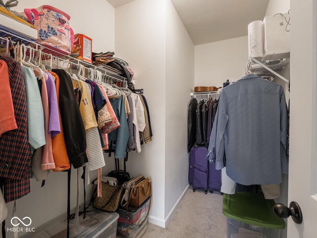 9001 Fitzgerald Dr, Indianapolis, IN 46239 - walk in closet featuring carpet floors