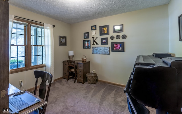 421 Kingsway Ct, Mooresville, IN 46158 - carpeted home office featuring baseboards, plenty of natural light, and a textured ceiling