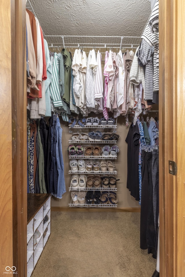421 Kingsway Ct, Mooresville, IN 46158 - spacious closet featuring carpet