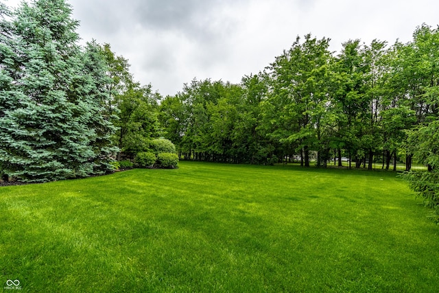 13346 W Sherbern Dr, Carmel, IN 46032 - view of grassy yard