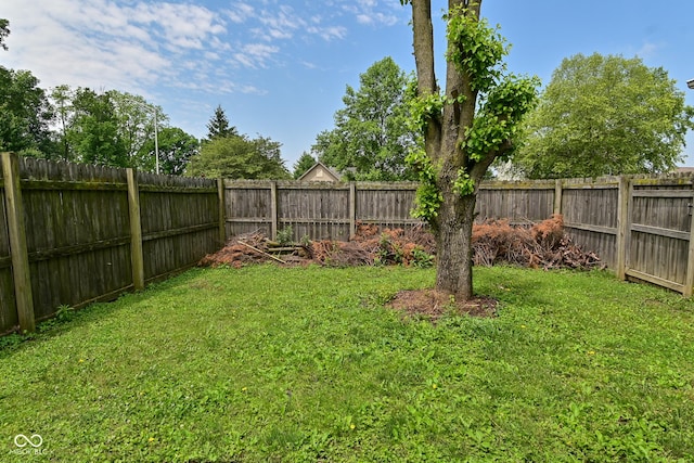 1411 Mimosa Ct, Greenfield, IN 46140 - view of fenced backyard