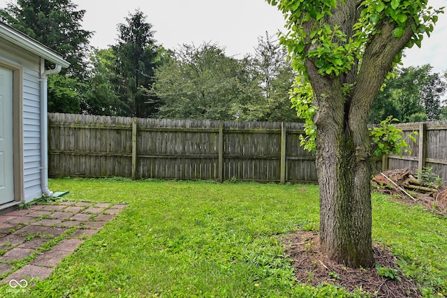 1411 Mimosa Ct, Greenfield, IN 46140 - view of fenced backyard