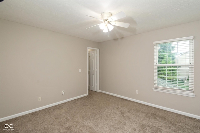 14446 Chapelwood Ln, Fishers, IN 46037 - photo 24