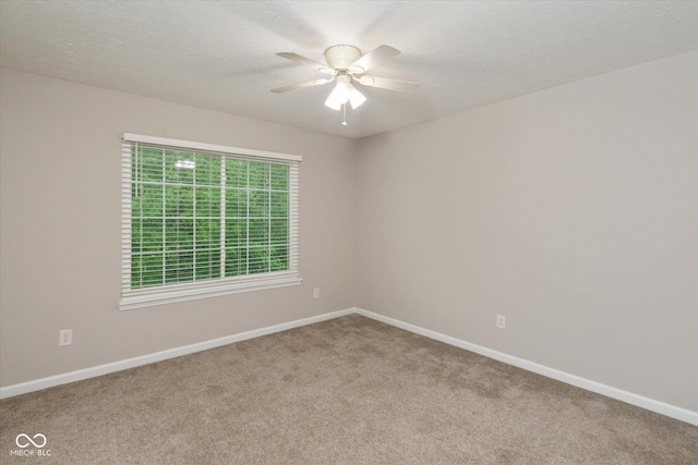 14446 Chapelwood Ln, Fishers, IN 46037 - photo 21