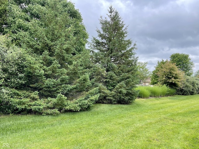 125 Bridgemor Ln, Mooresville, IN 46158 - view of green lawn