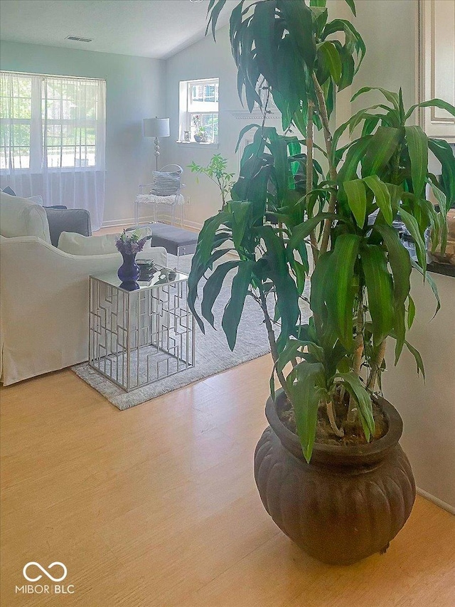 11830 Sand Creek Blvd, Fishers, IN 46037 - living room featuring wood finished floors and vaulted ceiling