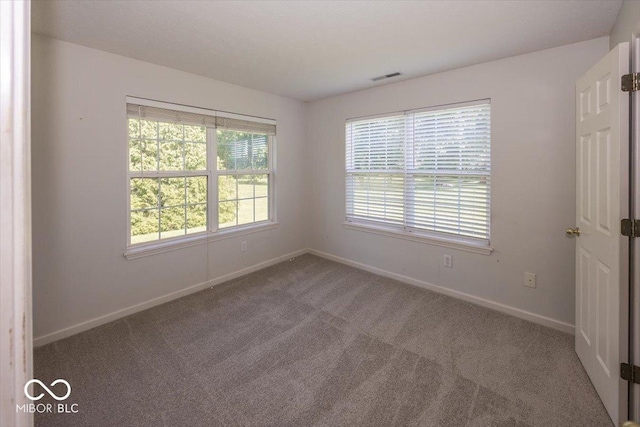11830 Sand Creek Blvd, Fishers, IN 46037 - carpeted empty room featuring baseboards