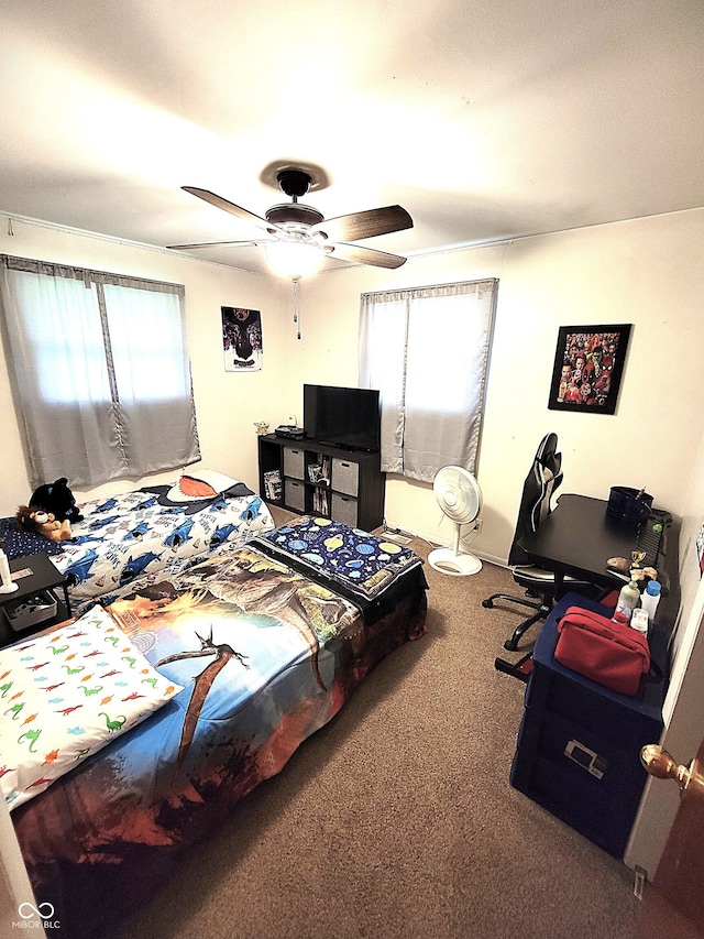 22 Brooklyn Ct, Mooresville, IN 46158 - carpeted bedroom with multiple windows and a ceiling fan