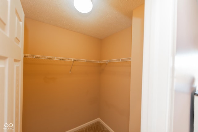 226 S Cave Creek Dr S, Bloomington, IN 47403 - walk in closet with carpet flooring