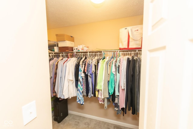 226 S Cave Creek Dr S, Bloomington, IN 47403 - spacious closet with carpet