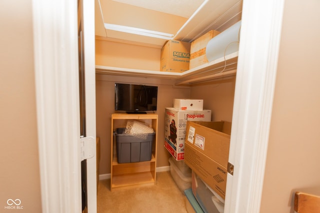 226 S Cave Creek Dr S, Bloomington, IN 47403 - view of storage