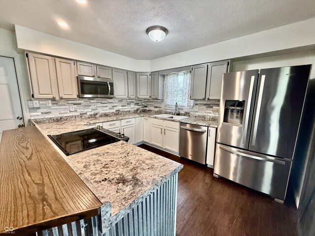 1002 Meadow Ln, Greencastle, IN 46135 - kitchen featuring appliances with stainless steel finishes, a sink, a peninsula, dark wood-style floors, and backsplash