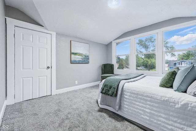 2720 S Taft Ave, Indianapolis, IN 46241 - bedroom featuring vaulted ceiling and carpet