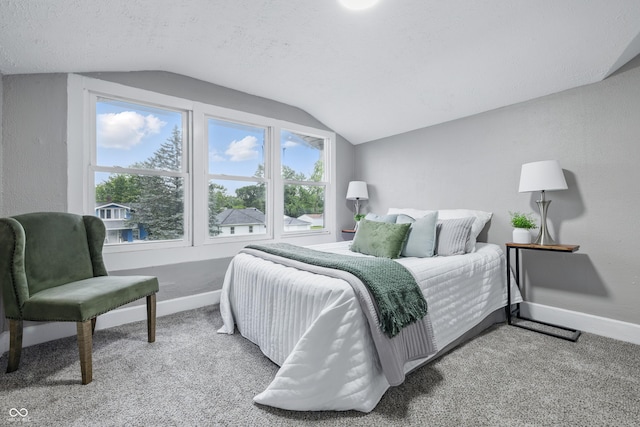2720 S Taft Ave, Indianapolis, IN 46241 - carpeted bedroom with lofted ceiling and baseboards