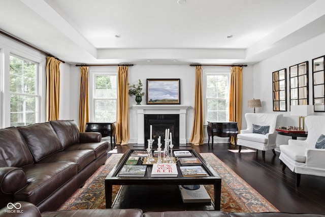 4529 Panthera Leo Dr, Carmel, IN 46074 - living area with a glass covered fireplace, a raised ceiling, and wood finished floors