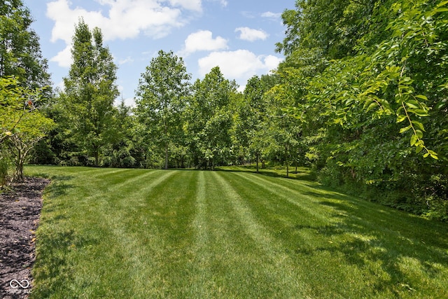 4529 Panthera Leo Dr, Carmel, IN 46074 - view of green lawn