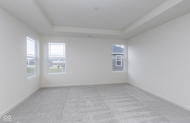 7151 Firestone Rd, Whitestown, IN 46052 - spare room featuring a tray ceiling, light colored carpet, and baseboards