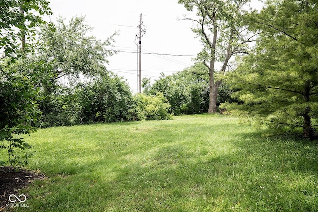 6180 Winnpeny Ln, Indianapolis, IN 46220 - view of grassy yard