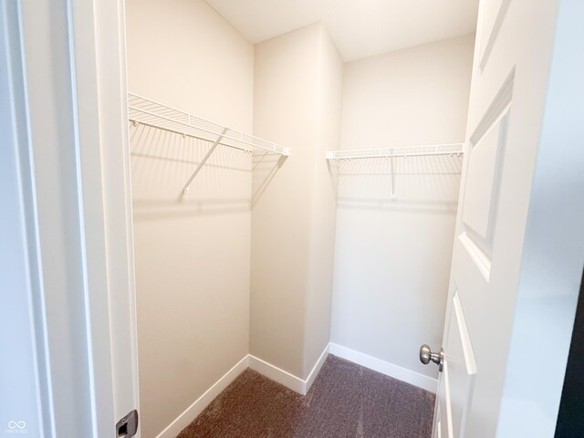 2358 S Stonehill Way, New Palestine, IN 46163 - spacious closet featuring carpet