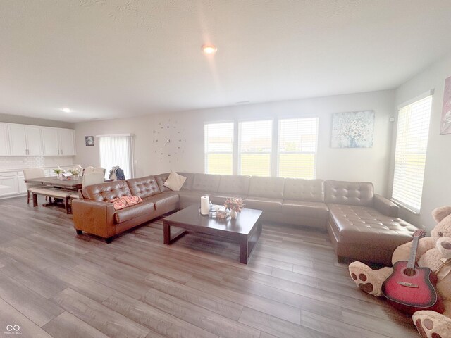 2358 S Stonehill Way, New Palestine, IN 46163 - living area with light wood finished floors and recessed lighting