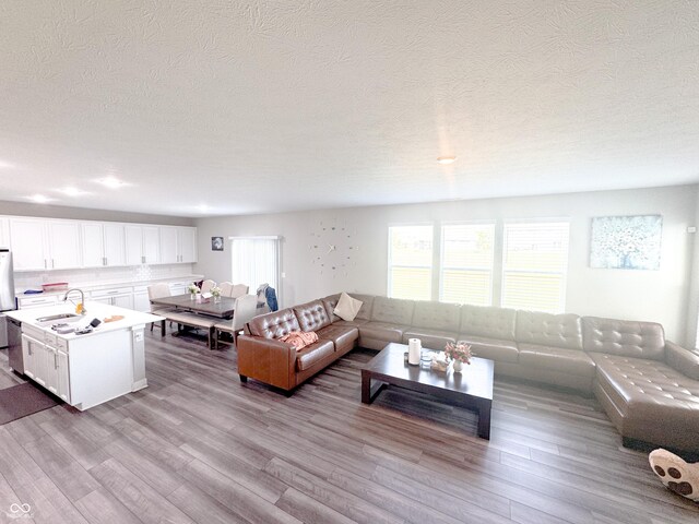2358 S Stonehill Way, New Palestine, IN 46163 - living room featuring wood finished floors and a textured ceiling