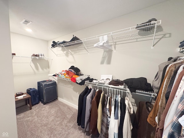 2358 S Stonehill Way, New Palestine, IN 46163 - spacious closet featuring carpet