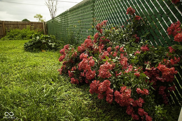 1115 N Kealing Ave, Indianapolis, IN 46201 - view of yard