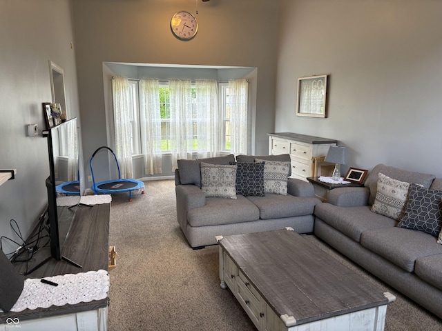 8926 Durban Ct, Indianapolis, IN 46234 - carpeted living room featuring a high ceiling
