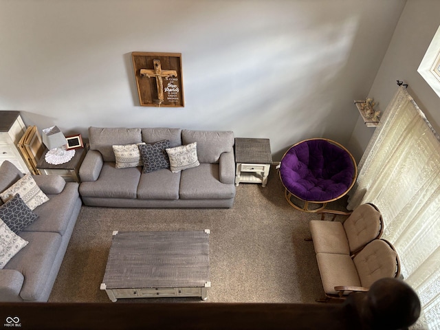 8926 Durban Ct, Indianapolis, IN 46234 - living area featuring carpet flooring
