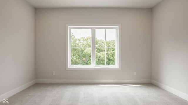 11695 Ansley Ct, Zionsville, IN 46077 - photo 46
