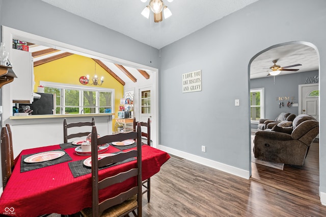 379 N Marion St, Morgantown, IN 46160 - dining area featuring a ceiling fan, arched walkways, wood finished floors, healthy amount of natural light, and lofted ceiling