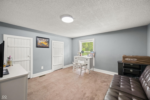 379 N Marion St, Morgantown, IN 46160 - office with light colored carpet, baseboards, and a textured ceiling