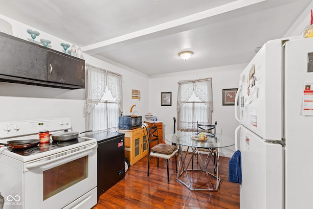 1116 N Berwick Ave, Indianapolis, IN 46222 - kitchen with white appliances, dark wood-style flooring, and healthy amount of natural light