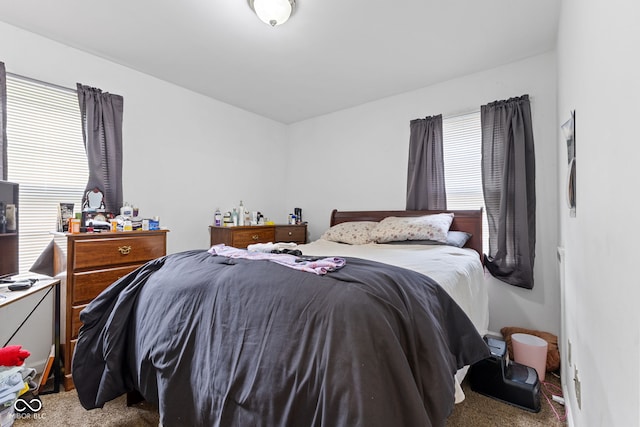 1116 N Berwick Ave, Indianapolis, IN 46222 - view of carpeted bedroom
