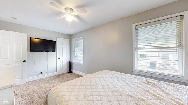 311 S 6th Ave, Beech Grove, IN 46107 - bedroom with carpet, multiple windows, baseboards, and a ceiling fan
