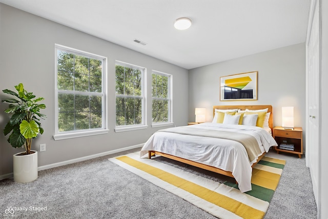 9949 Nightsong Ln, Avon, IN 46123 - bedroom with multiple windows, baseboards, and carpet floors