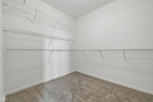 9949 Nightsong Ln, Avon, IN 46123 - spacious closet with carpet