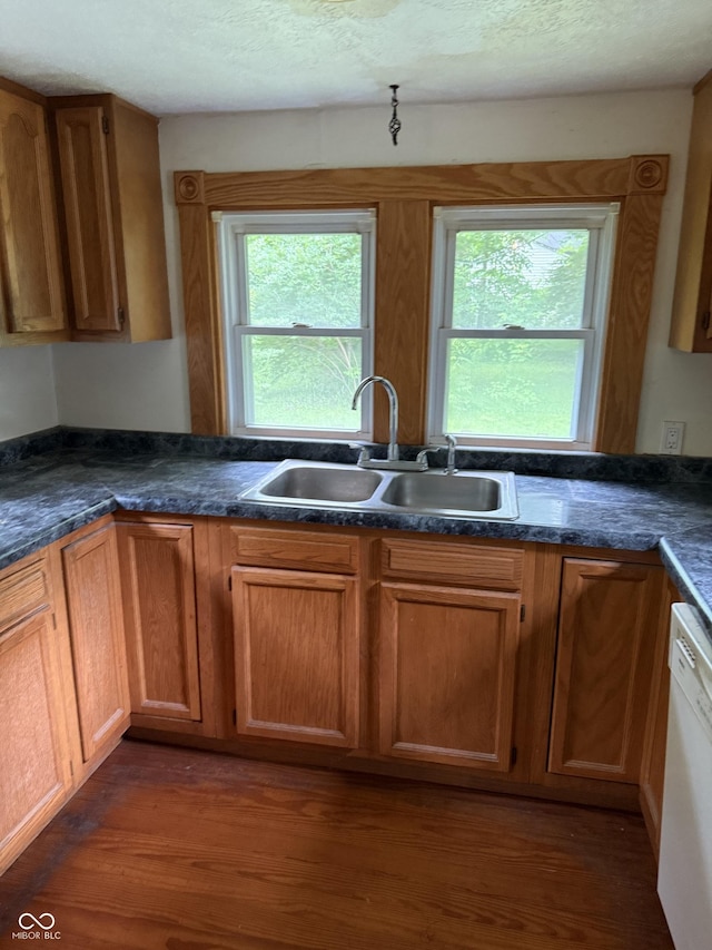 4931 Orion Ave, Indianapolis, IN 46201 - kitchen with dishwasher, a sink, plenty of natural light, and wood finished floors