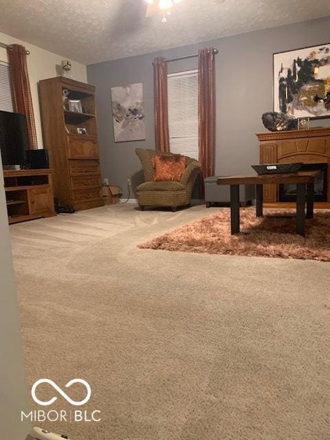 6730 NW Shanghai Cir, Indianapolis, IN 46268 - living area with a textured ceiling and carpet
