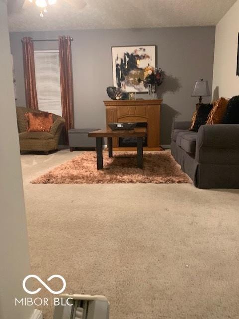 6730 NW Shanghai Cir, Indianapolis, IN 46268 - living room with carpet floors, a textured ceiling, and ceiling fan