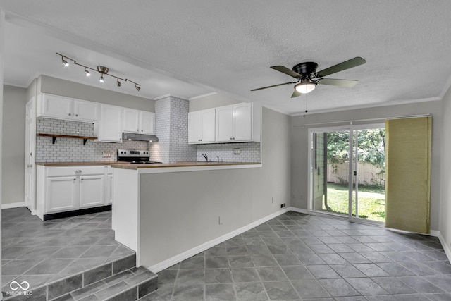 4708 Haverford Ave, Indianapolis, IN 46205 - kitchen featuring stainless steel range with electric cooktop, under cabinet range hood, a textured ceiling, white cabinetry, and backsplash