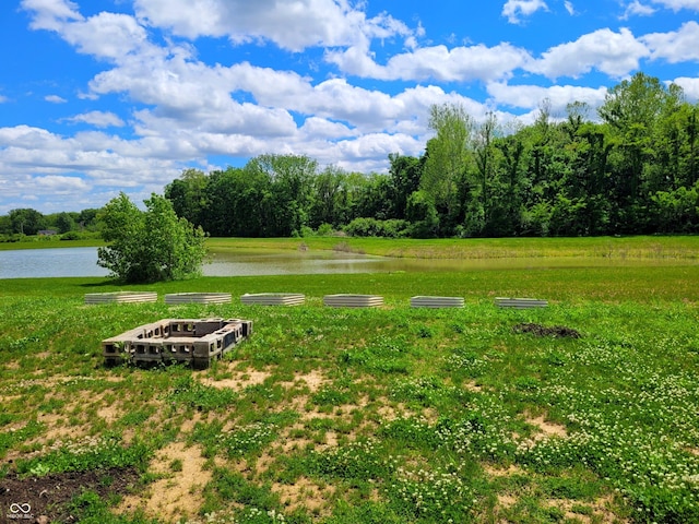 7171 E Rising Sun Cir S, Camby, IN 46113 - view of green lawn featuring a water view