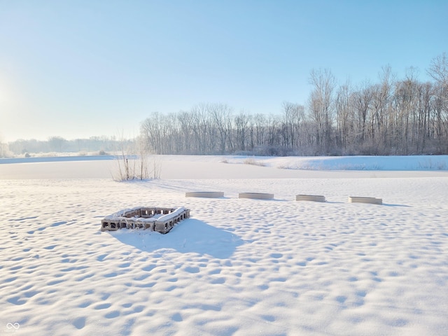 7171 E Rising Sun Cir S, Camby, IN 46113 - view of snowy yard